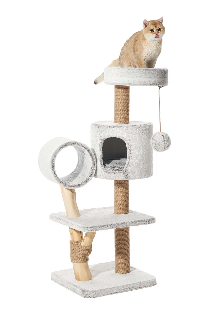 Nobby Kratzbaum Runa